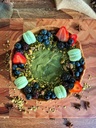 Tartelette de Pistache 20 cm - 10 a 12 porções